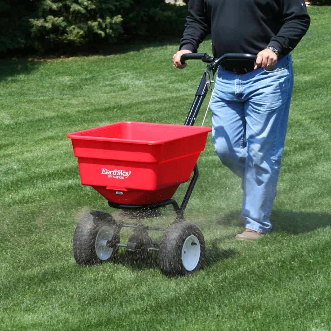 san antonio grass for sale