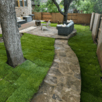 Freshly installed Zeon Zoysia grass