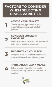 infographic about factors to consider when selecting grass varieties