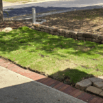 Freshly installed Zeon Zoysia