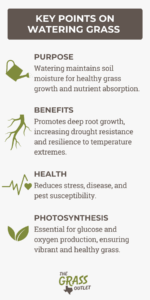 Visual showing key points on lawn watering