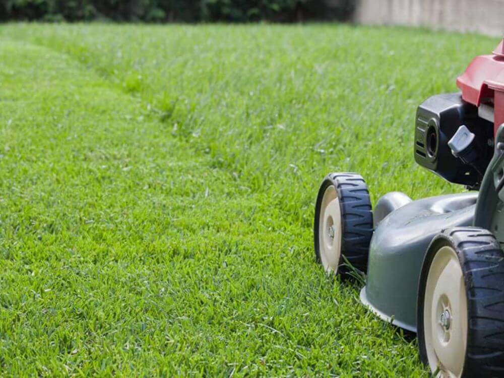 Bare feet in Lush Zorro Zoysia