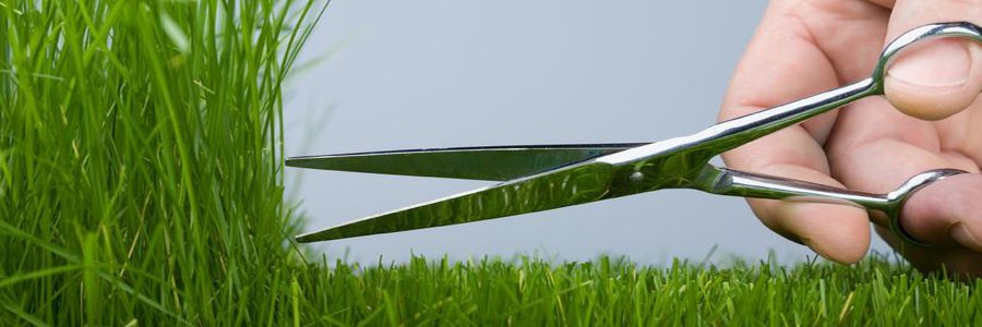 how long should you mow your lawn?