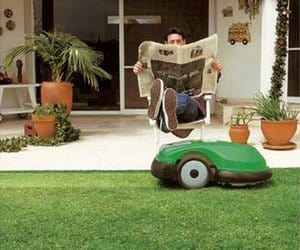 san antonio sod