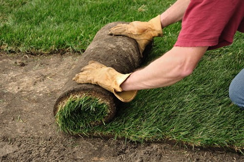 Laying Sod - The Grass Outlet