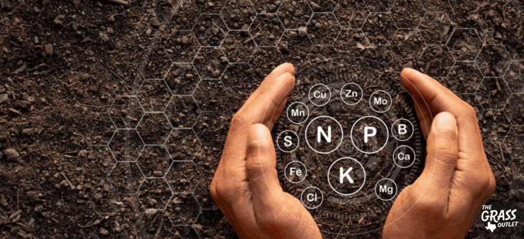 Composition of the soil